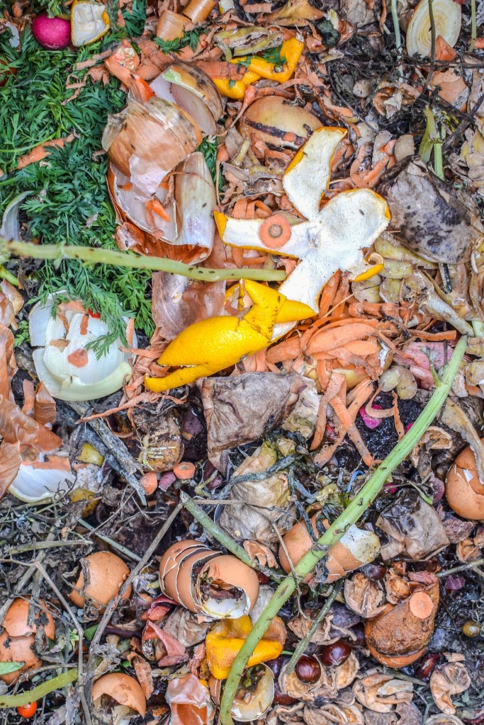 Vegetable and garden scraps