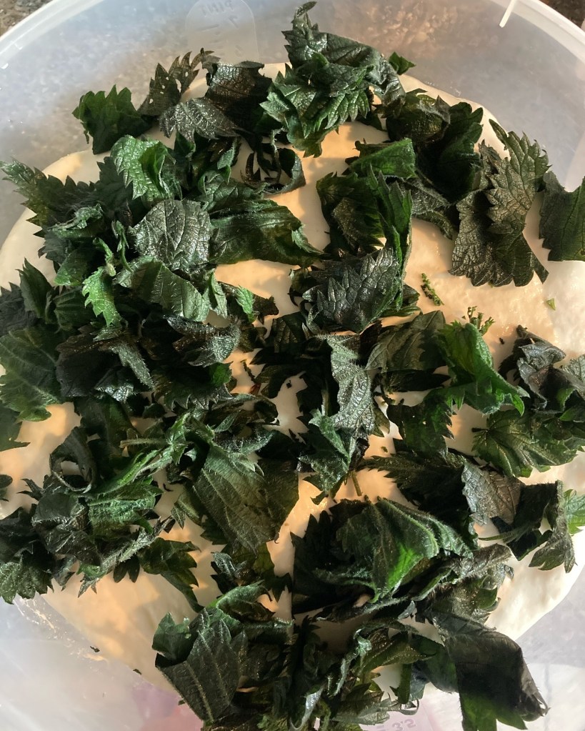 Nettles added to dough