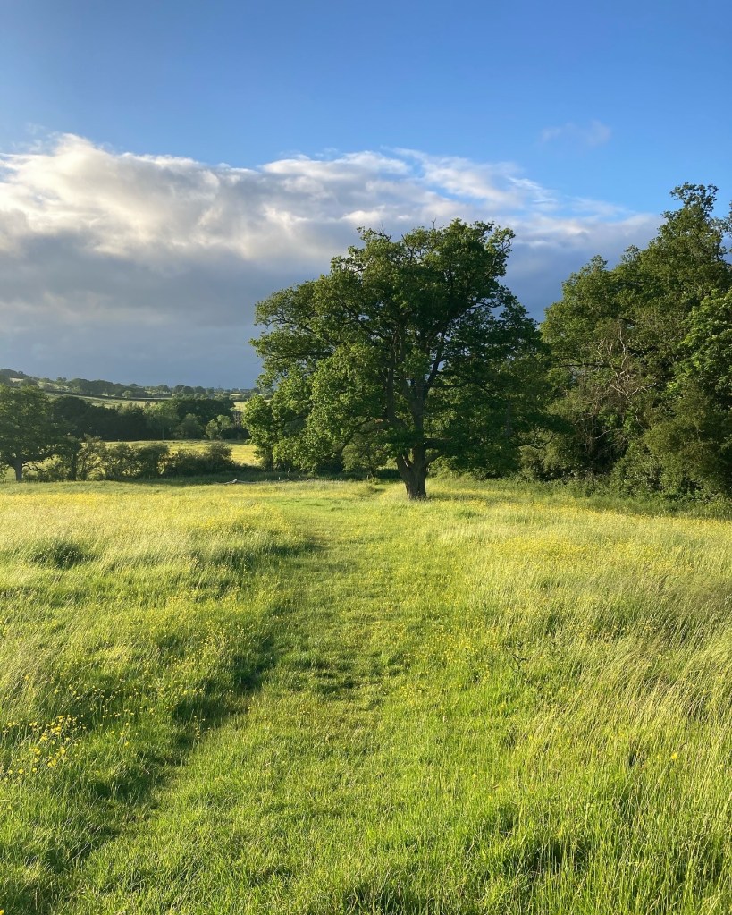 Boars hill, Oxfordshire