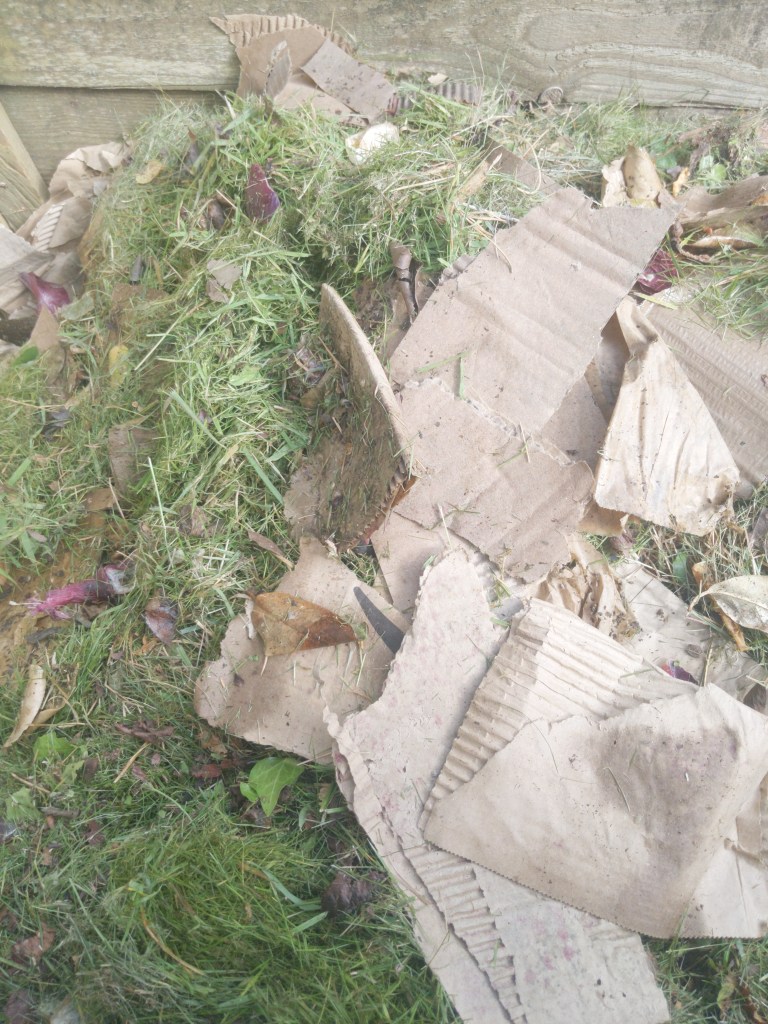 Grass clippings and cardboard in compost pile