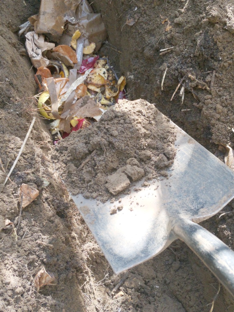 Shovelling soil onto food scraps in trench