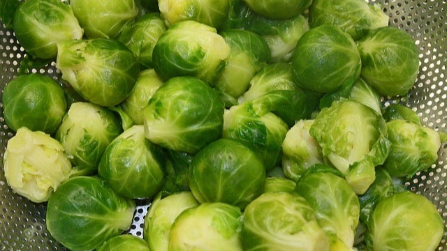 Brussel sprouts in a colander