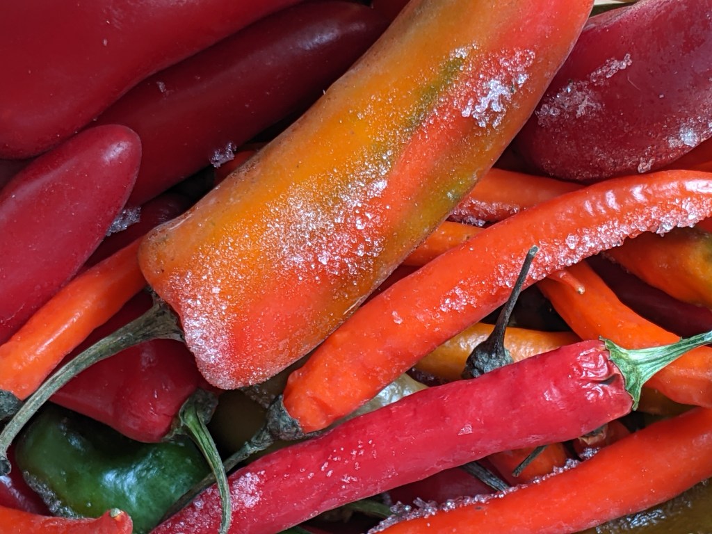 Frozen chillis