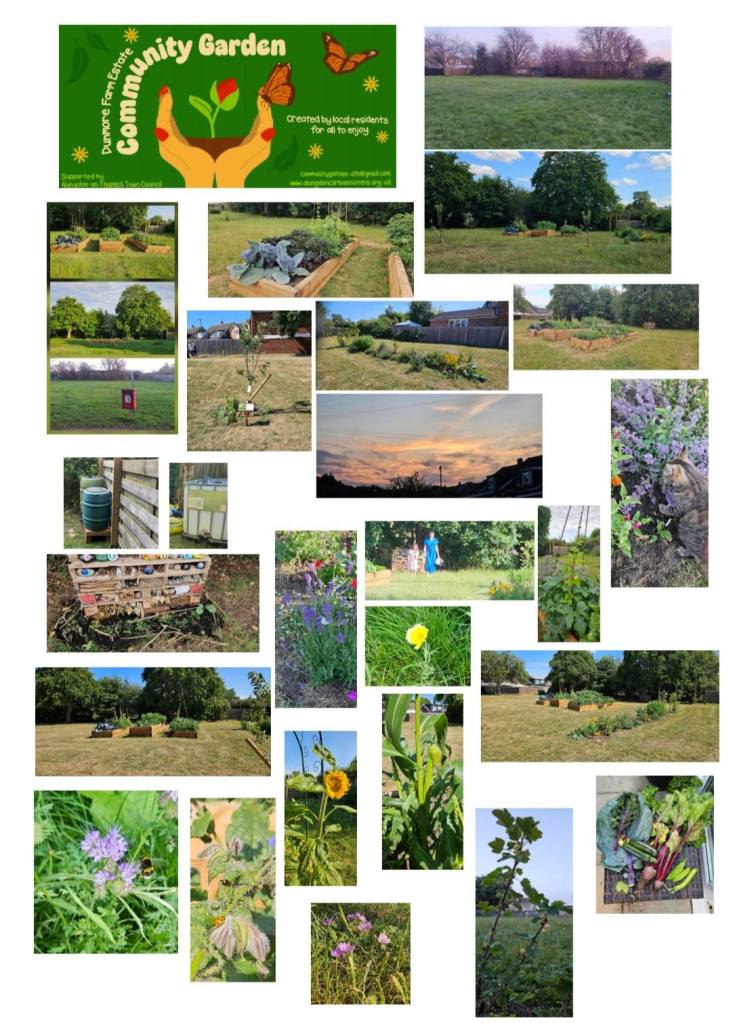 Selection of images from the first 6 months of the garden showing the raised beds, plants, bug hotel and harvests. 