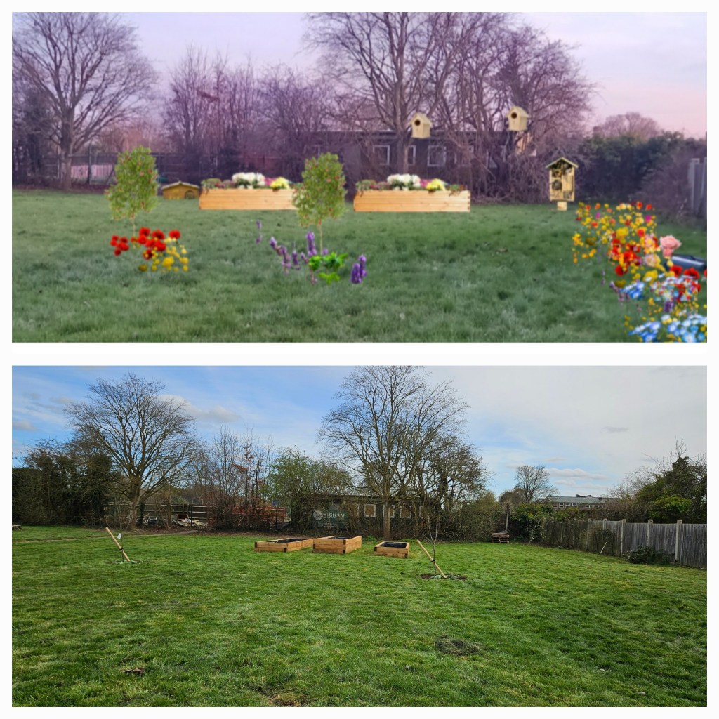 The imagined garden vision and the garden starting to some to life with raised beds and apple trees. 