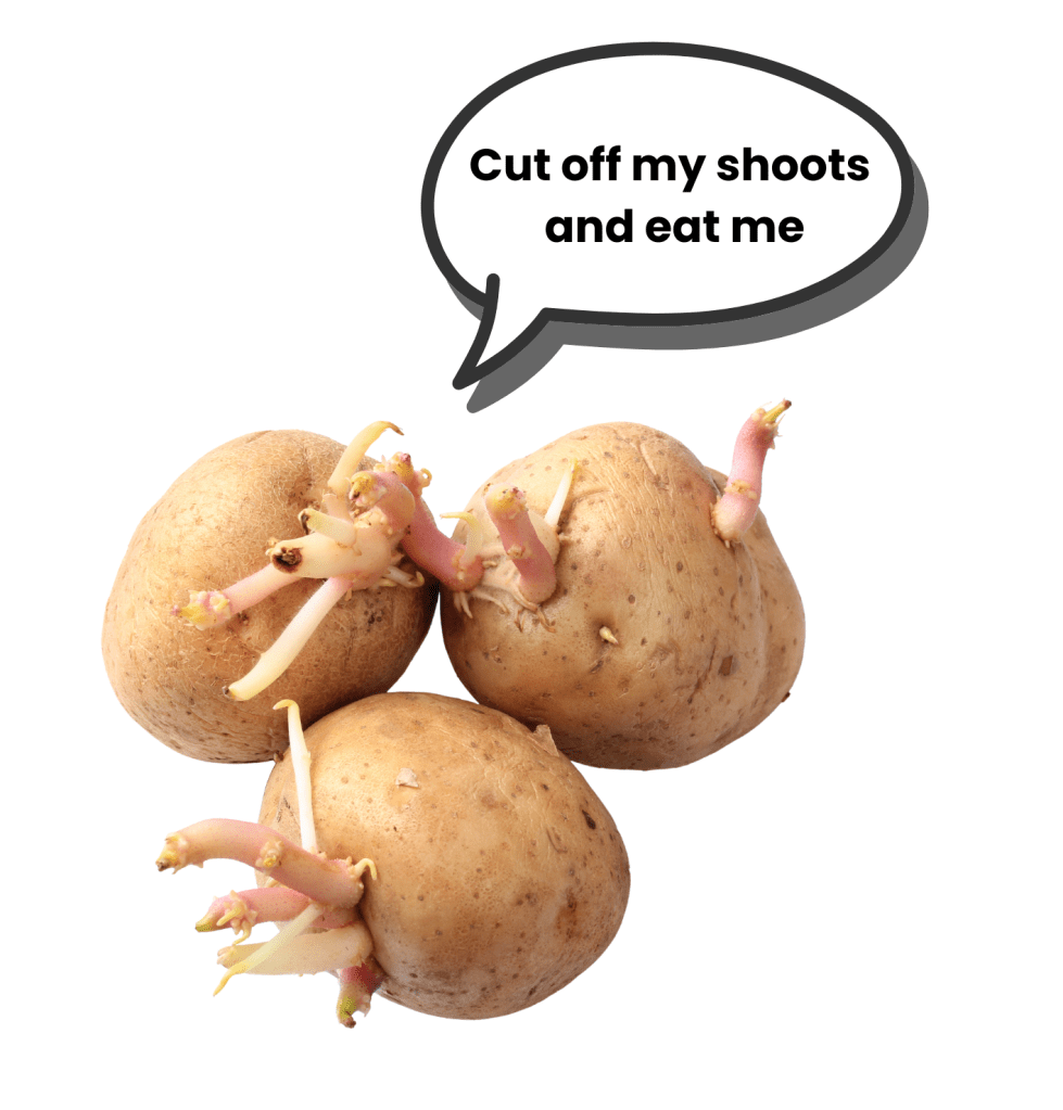 Sprouting potatoes with speech bubble saying 'cut off my shoots and eat me'